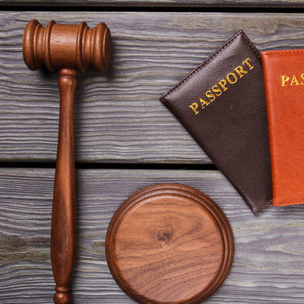 immigration-law